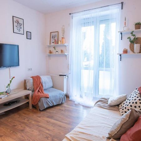 Home Studio Z Ogrodkiem Kraków Eksteriør billede